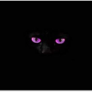 Meet your Posher, Garineh